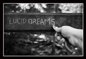 Lucid Dreams Photography profile picture