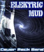 Elektric Mud profile picture