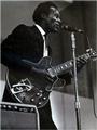 Chuck Berry profile picture