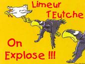 Limeur TEutche profile picture