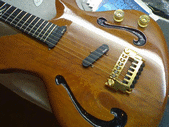 Luis Farinha Custom Guitars profile picture