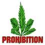 NORML profile picture