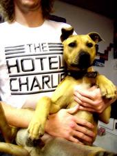 The Hotel Charlie profile picture