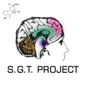 S.G.T. Project profile picture