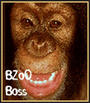 BZoO HomeGrown Radio profile picture