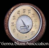 vienna blues association profile picture