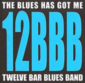 TWELVE BAR BLUES BAND profile picture