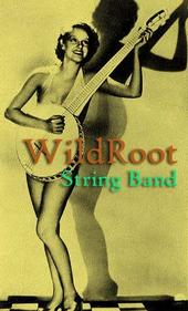 WildRoot String Band profile picture