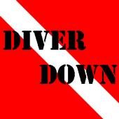 DIVER DOWN profile picture