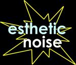 Esthetic Noise Records profile picture