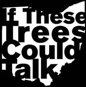 If These Trees Could Talk profile picture