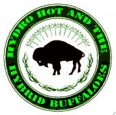 HYDRO HOT AND THE HYBRID BUFFALOES profile picture