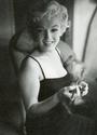 marilyn monroe profile picture