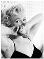 marilyn monroe profile picture