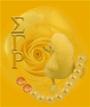 Sigma Gamma Rho profile picture