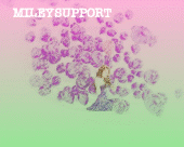 mileysupport profile picture