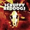 Scruffy Red Dogs profile picture