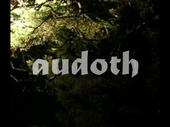 audoth profile picture