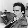 Martin Amis profile picture