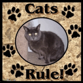 CATS RULE! Contest Site profile picture