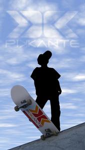 piKKanteÂ® SKATEBOARDS profile picture