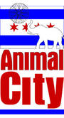 Animal City profile picture