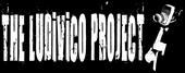 THE LUDiViCO PROJECT profile picture