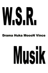 W.S.R. Musik profile picture