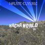 DJ NACHA WORLD profile picture