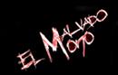 El Malvado Mono profile picture