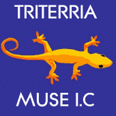 triterria_museic