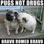 Bravo Romeo Bravo [Join our Street Team!] profile picture