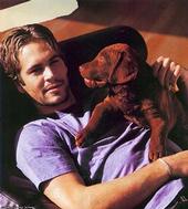 Paul Walker profile picture