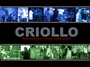 CRIOLLO profile picture