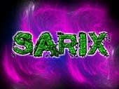 Sarix profile picture