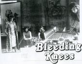 bleeding knees profile picture