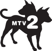 MTV 2 profile picture