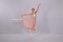 Ballet Etudes, AZ profile picture