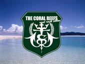 THE CORAL REEFS profile picture