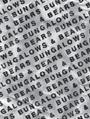 Bungalows & Bears profile picture