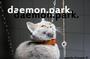 :DAEMON:PARK: profile picture