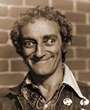 Marty Feldman profile picture