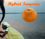 hybrid tangerine profile picture