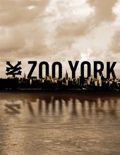 zooyorkteam