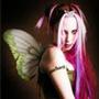 Rose Fairy profile picture