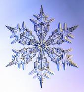 Like My Snowflake? profile picture