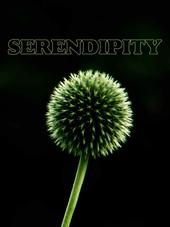 Serendipity profile picture