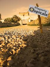 masseria ospitale profile picture