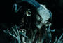 Pan's Labyrinth profile picture