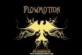 Flowmotion profile picture